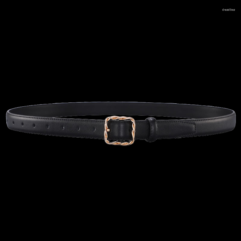 Belts Leather Ladies Belt Alloy Fashion Pin Buckle Korean Style Simple Luxury Designer Brand With Jeans Casual Pants, Black
Belts Leather Ladies Belt Alloy Fashion Pin Buckle Korean Style Simple Luxury Designer Brand With Jeans Casual Pants, Black