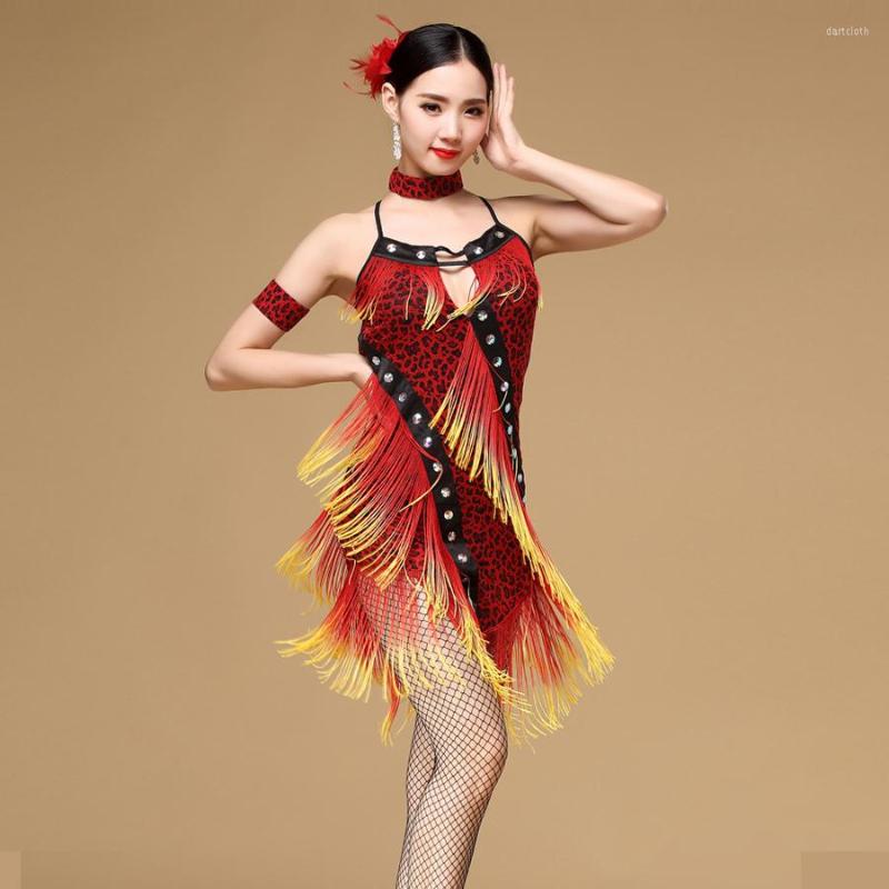 Stage Wear 2023 Performance Ballroom Dancing Salsa Dance Dresses With Tassels Samba Carnival Costumes Latin Dress Women, Grey
Stage Wear 2023 Performance Ballroom Dancing Salsa Dance Dresses With Tassels Samba Carnival Costumes Latin Dress Women, Grey