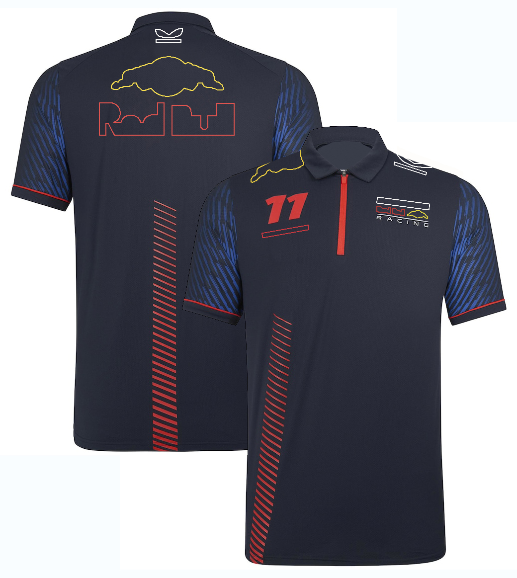 2024 Team Racing T-shirt Formula 1 Driver Polo Shirts T-shirts F1 New Season Race Tee Fans Plus Size Men's Tops Jersey Custom free shipping