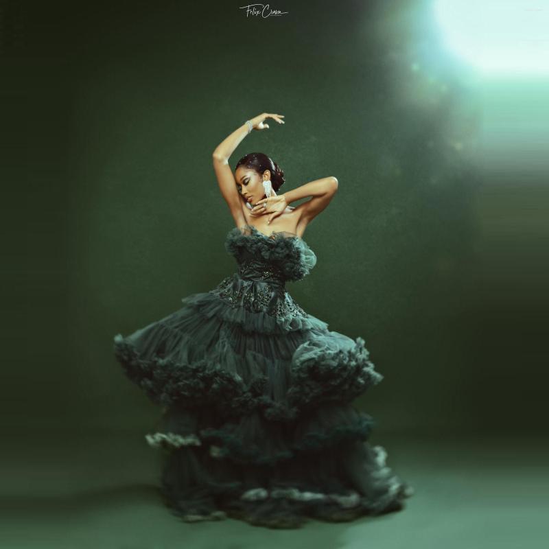 Party Dresses Charming Puffy Tulle Prom Strapless Ruffles Aso Ebi Evening Gowns For Po Shoot Layered Long Dressing, Custom made color
Party Dresses Charming Puffy Tulle Prom Strapless Ruffles Aso Ebi Evening Gowns For Po Shoot Layered Long Dressing, Custom made color