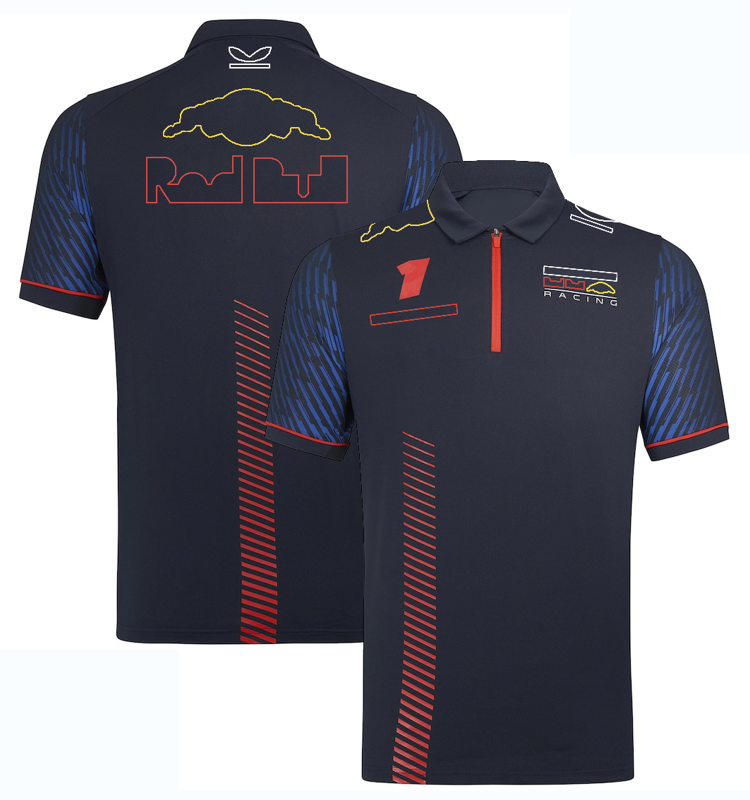 2024 Team Racing T-shirt Formula 1 Driver Polo Shirts T-shirts F1 New Season Race Tee Fans Plus Size Men's Tops Jersey Custom free shipping