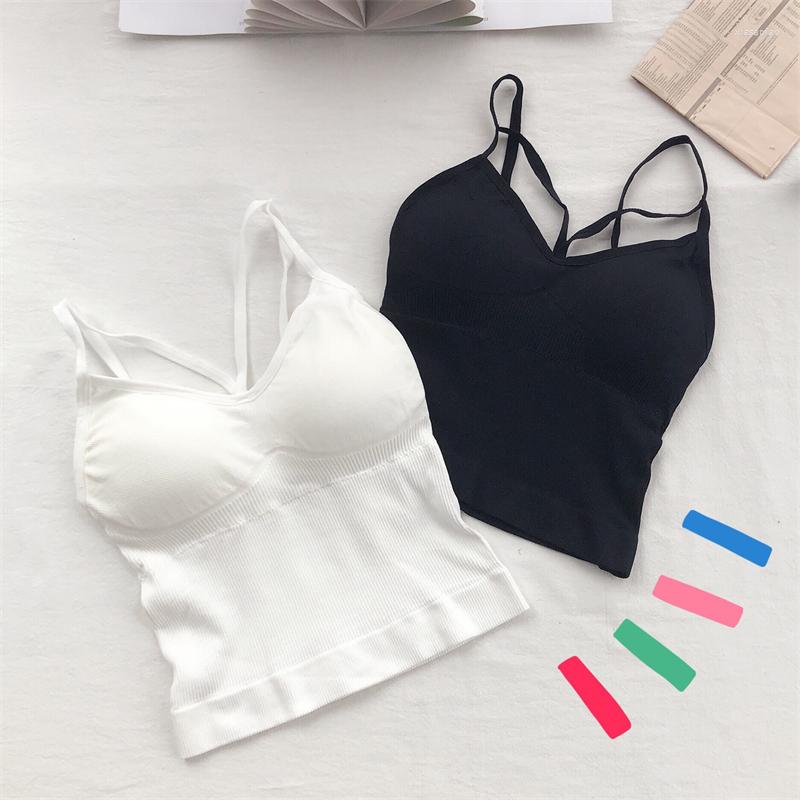 Women's Tanks Women Crop Tops Sexy Solid Color Camisole Tube Top Seamless Sports Tank Wireless Underwear Padded Bra Bralette Vest, Khaki
Women's Tanks Women Crop Tops Sexy Solid Color Camisole Tube Top Seamless Sports Tank Wireless Underwear Padded Bra Bralette Vest, Khaki