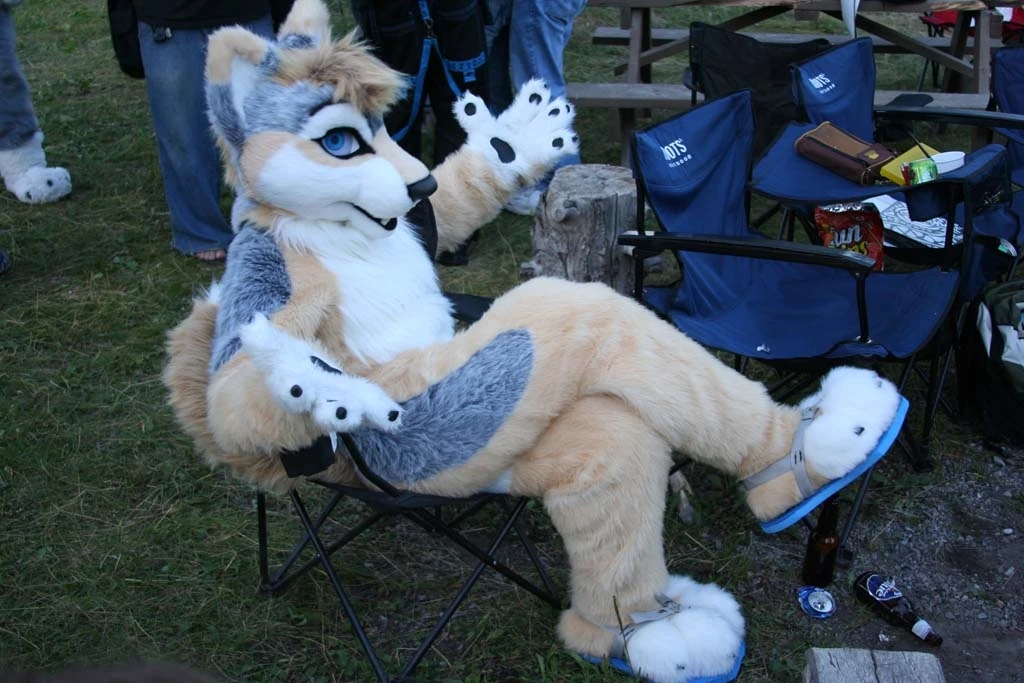 Furry Husky Dog BENT LEGS Fursuit Mascot Costume Faux Fur Suit Party Outfit Dress Adult Size Outdoor Decorations, As pic
Furry Husky Dog BENT LEGS Fursuit Mascot Costume Faux Fur Suit Party Outfit Dress Adult Size Outdoor Decorations, As pic