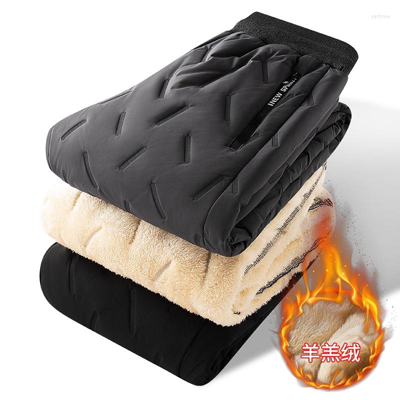 Men's Pants Lamb Feather Men's Lined Fleece Cashmere Sports Autumn Winter Casual Jogging Warm, Grey zhitong
Men's Pants Lamb Feather Men's Lined Fleece Cashmere Sports Autumn Winter Casual Jogging Warm, Grey zhitong
