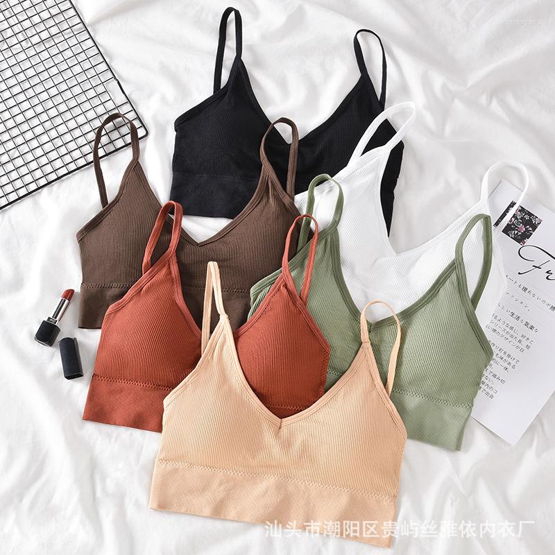 Bras Fashion Sexy Fitness Tube Top Crop For Women Push Up Bra Lingerie Seamless Underwear Brassiere Bandeau Female Tank, Skin
Bras Fashion Sexy Fitness Tube Top Crop For Women Push Up Bra Lingerie Seamless Underwear Brassiere Bandeau Female Tank, Skin