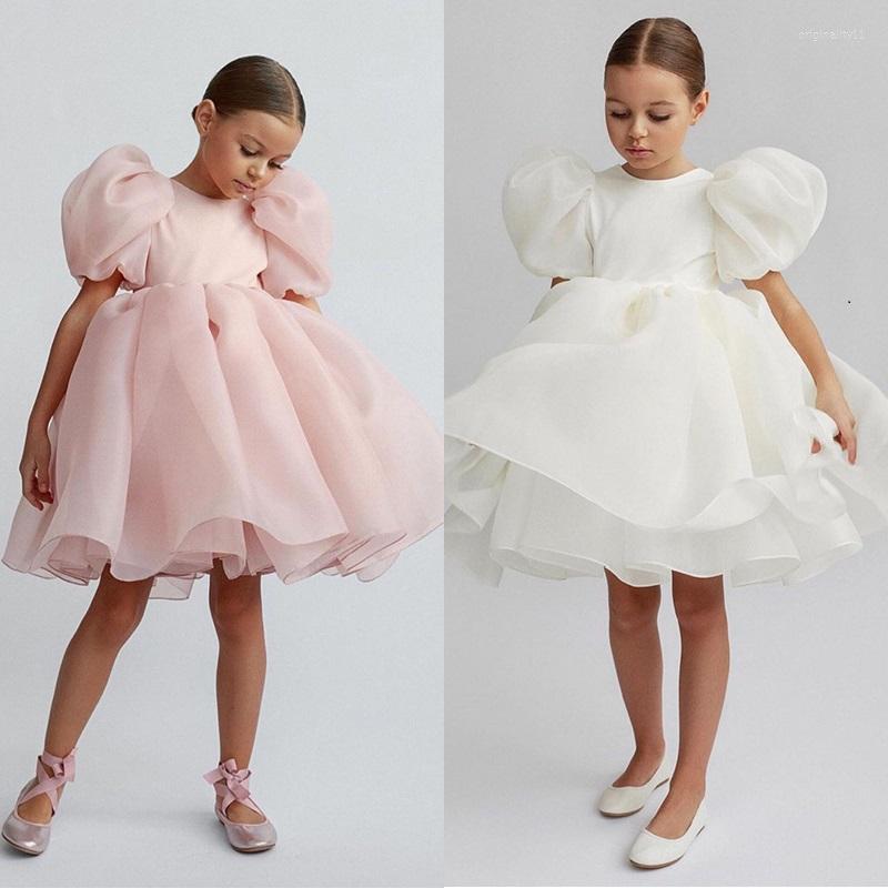 Girl Dresses Fashion Princess Vintage Dress Tulle Child Vestido Puff Sleeve Pink Wedding Party Birthday Tutu Clothes
Girl Dresses Fashion Princess Vintage Dress Tulle Child Vestido Puff Sleeve Pink Wedding Party Birthday Tutu Clothes