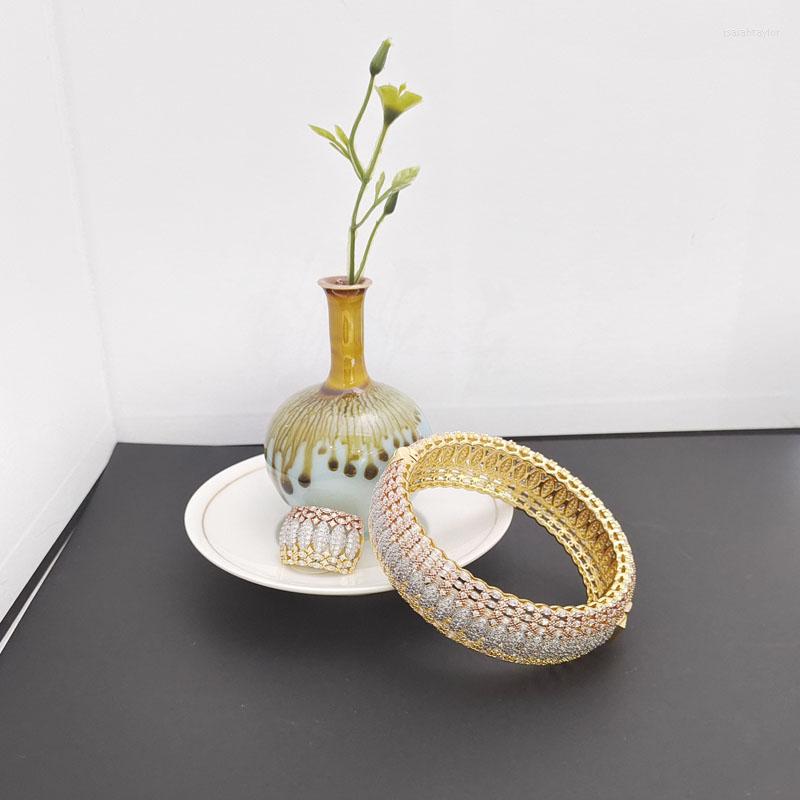 Bangle Original Design Dazzdelic Cubic Zirconia Classic Wheat Grain With Ring Set For Women Dating And Party
Bangle Original Design Dazzdelic Cubic Zirconia Classic Wheat Grain With Ring Set For Women Dating And Party