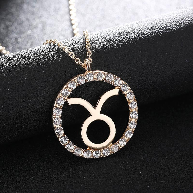 Pendant Necklaces 1 Pc Women Girls Necklace Crystal Zodiac Sign 12 Constellation Jewelry Gifts C66
Pendant Necklaces 1 Pc Women Girls Necklace Crystal Zodiac Sign 12 Constellation Jewelry Gifts C66
