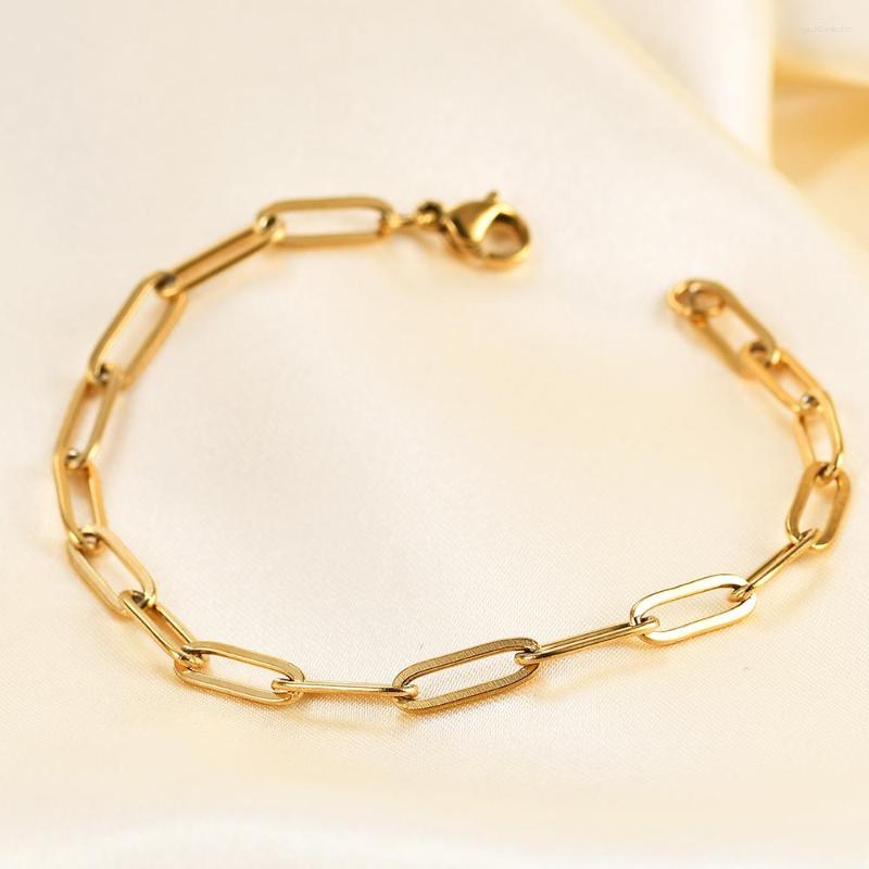 Charm Bracelets Chic Paperclip Chain For Women Girl Gold Stainless Steel Rectangle Link Bracelet Fashion Elegant Party Jewelry
Charm Bracelets Chic Paperclip Chain For Women Girl Gold Stainless Steel Rectangle Link Bracelet Fashion Elegant Party Jewelry