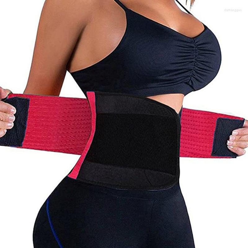 Women's Shapers Women Waist Body Shapewear Trimmer Tummy Slimming Belt Corset Shaper
Women's Shapers Women Waist Body Shapewear Trimmer Tummy Slimming Belt Corset Shaper