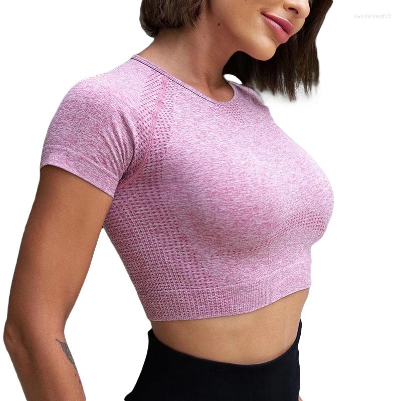 Active Shirts Sports Tight Yoga Top Women Short Sleeve T-shirt Gym Tops Fitness Running Workout Sport Wear, Blue
Active Shirts Sports Tight Yoga Top Women Short Sleeve T-shirt Gym Tops Fitness Running Workout Sport Wear, Blue