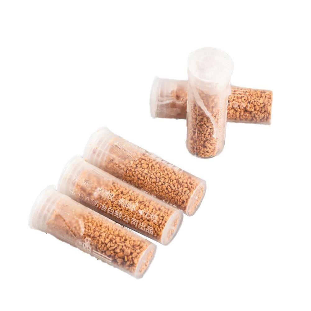 Pest Control 10 Bottles Poison Trap Bedroom Cockroach Killer Bait Powder Kitchen R7Ed6 Drop Delivery 2022 H Dheks 
Pest Control 10 Bottles Poison Trap Bedroom Cockroach Killer Bait Powder Kitchen R7Ed6 Drop Delivery 2022 H Dheks