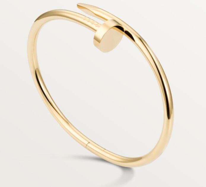 2023 Designer Nail Bangle Luxury Jewelry Midi Rings For Women Titanium Steel Alloy Gold-Plated Process Fashion Bangle Accessories Never Fade Not Allergic 17CM
2023 Designer Nail Bangle Luxury Jewelry Midi Rings For Women Titanium Steel Alloy Gold-Plated Process Fashion Bangle Accessories Never Fade Not Allergic 17CM