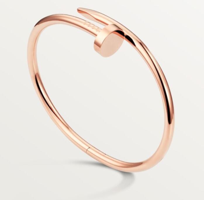 2023 Designer Nail Bangle Luxury Jewelry Midi Rings For Women Titanium Steel Alloy Gold-Plated Process Fashion Bangle Accessories Never Fade Not Allergic 17CM box
2023 Designer Nail Bangle Luxury Jewelry Midi Rings For Women Titanium Steel Alloy Gold-Plated Process Fashion Bangle Accessories Never Fade Not Allergic 17CM box