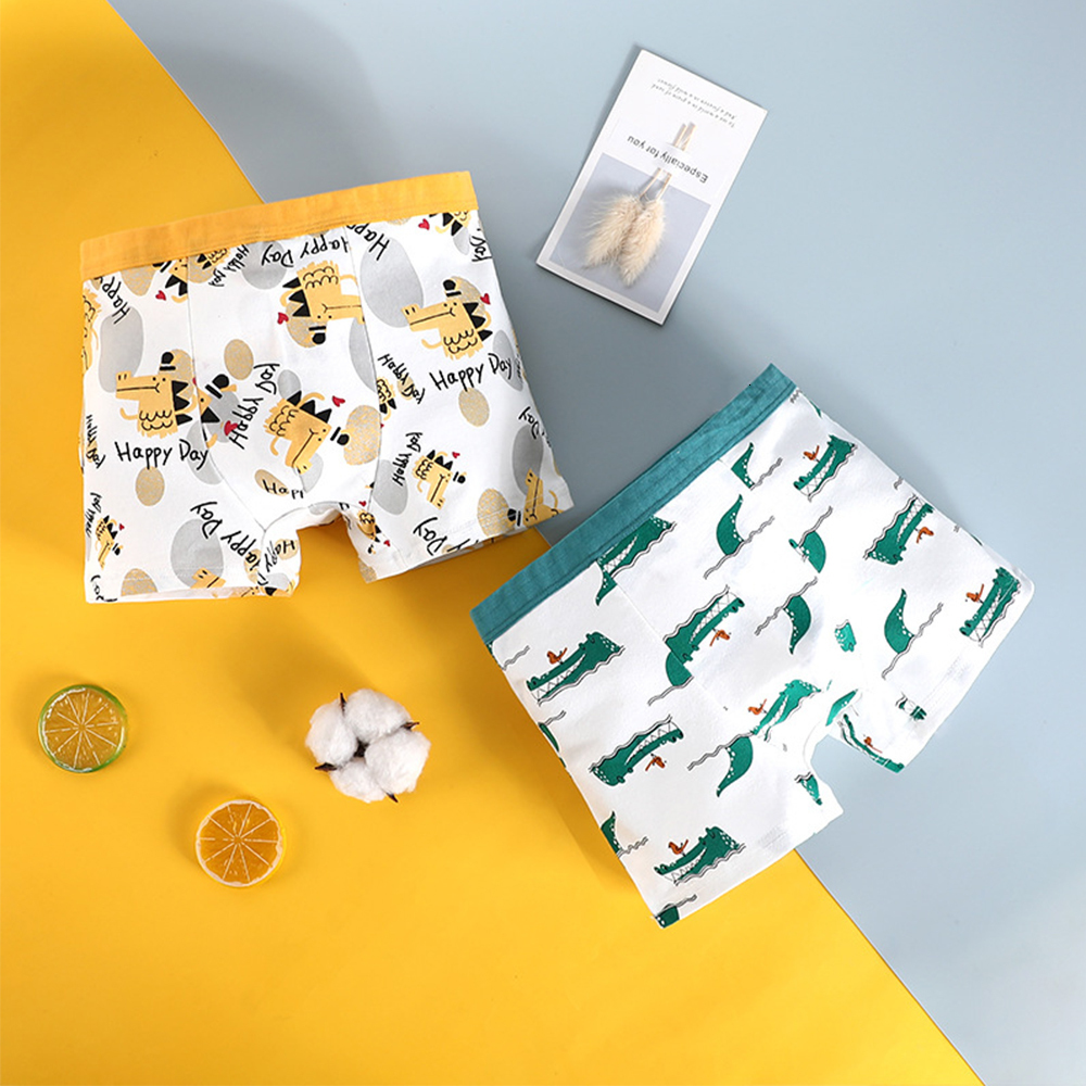 Panties 4pcslot Kids Boys Underwear Cartoon Childrens Shorts Teenagers Cotton Underpants Dinosaurs Pattern 230322