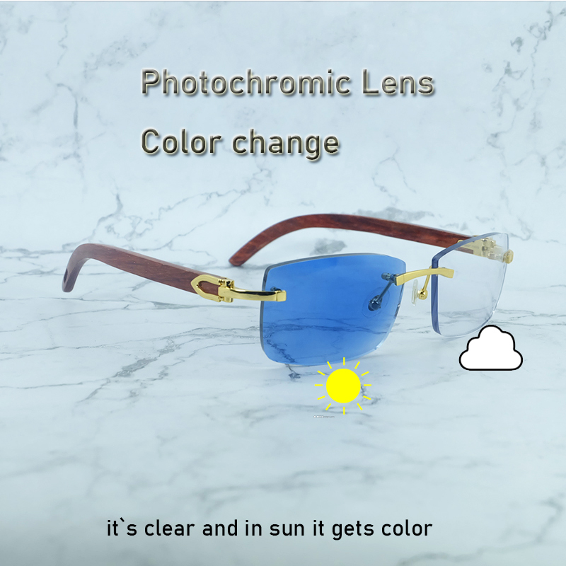 Photochromic Lenses Glasses Luxury Designer Carter Buffalo Horn Two Colors Lenses 4 Season Wood Luxury Designer Shades man Eyewear Color Change Sunglasses