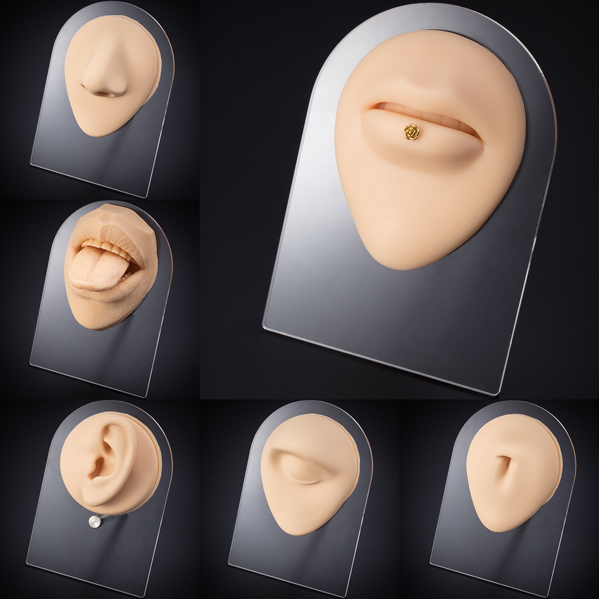 Ear Cuff Perforated silicone features lips ears nose eyes body puncture demonstration drill teaching exercise tool prop model 230303
Ear Cuff Perforated silicone features lips ears nose eyes body puncture demonstration drill teaching exercise tool prop model 230303
