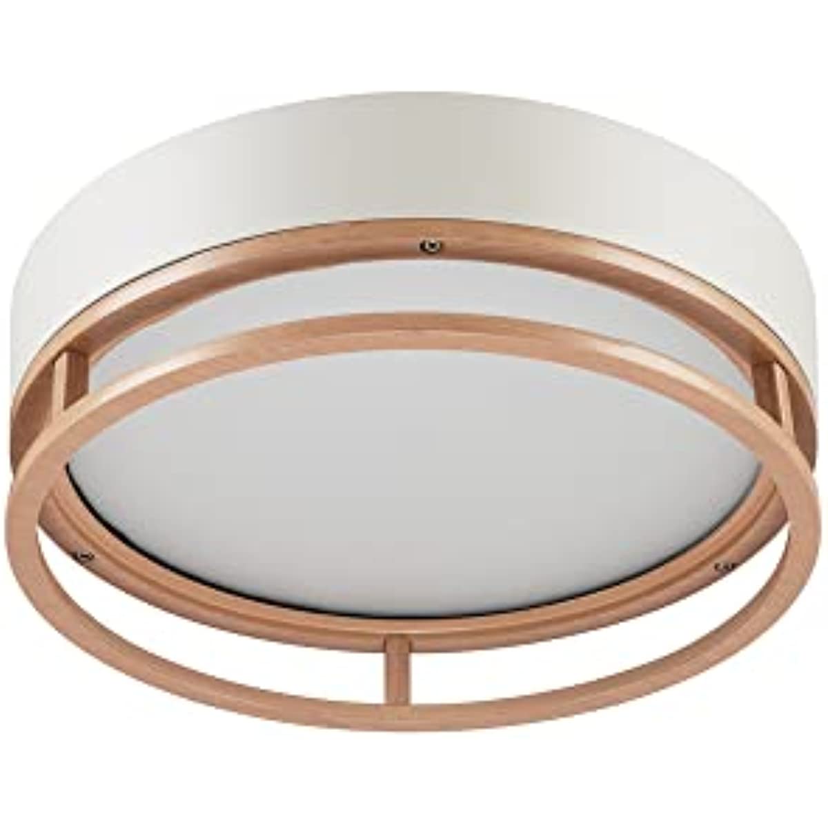 18.5W LED Integrated Outdoor Indoor Flush Mount Ceiling Light, Matte White, Faux Wood Accent, Porch Light
18.5W LED Integrated Outdoor Indoor Flush Mount Ceiling Light, Matte White, Faux Wood Accent, Porch Light