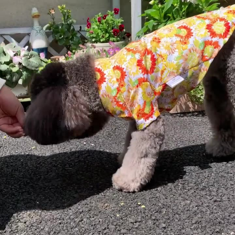 Pet Clothing Dog Clothing Hawaii Printed Breathable Cool Pet Shirt Beach Dog Shirt Suitable for Small Medium and Large Dogs