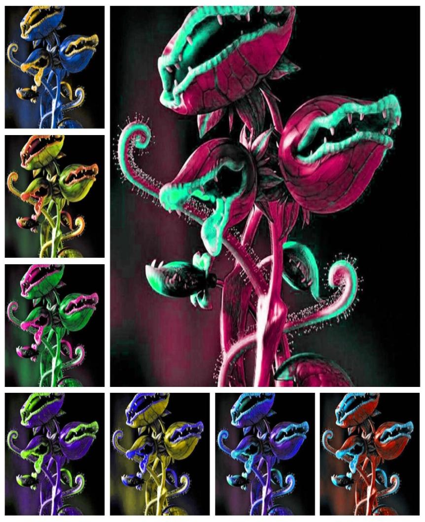 200 pcs bag Flytrap Flores Seeds Flower Bonsai Potted Dionaea Muscipula Plantas Terrace Garden Carnivorous Plant Venus Fly Trap P8906667