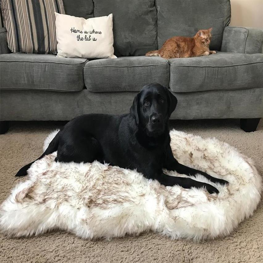 Tyteps Faux Fur Orthopedic Dog Bed Curve White Dog Rug For Big Medium Small Puppys Support Dropping 201124302n, 108x63
Tyteps Faux Fur Orthopedic Dog Bed Curve White Dog Rug For Big Medium Small Puppys Support Dropping 201124302n, 108x63