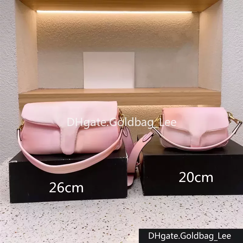 Evening Bags Woman Pillow Tabby Bags Sheepskin designer bags luxury shading cloud handbag soft pleated purse wallets fashion shoulder bag lady 2022 Top, (small)20cm-black(l0g0)
Evening Bags Woman Pillow Tabby Bags Sheepskin designer bags luxury shading cloud handbag soft pleated purse wallets fashion shoulder bag lady 2022 Top, (small)20cm-black(l0g0)