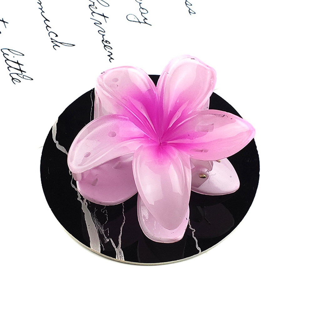 New Candy Gradient Color Flower Hair Clips Ribbon Girls Colorful Elegant Flower Shape Hair Claws Plastic Clip Hair Accessories S2028