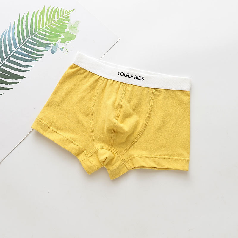 Panties Boys Underwear Children Cotton Boxer Shorts Childrens Kids For 216 years 5 pcs 230331