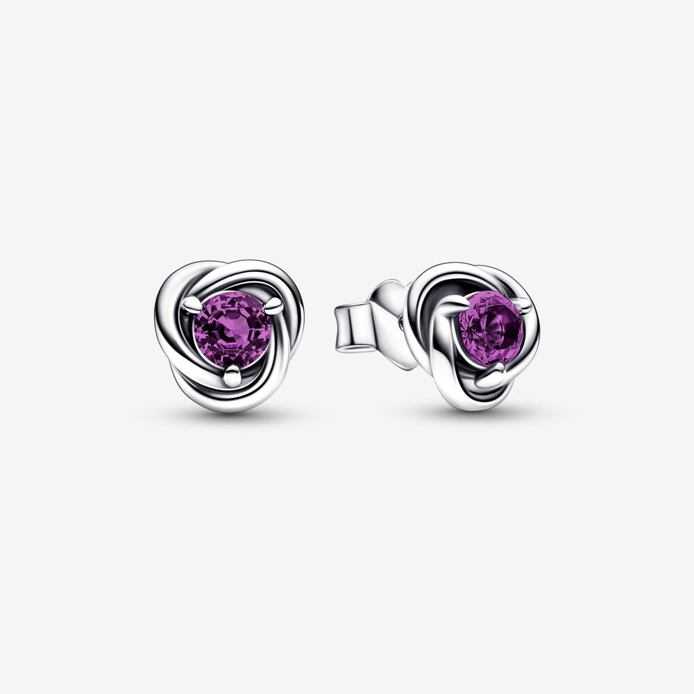 925 Sterling Silver Charm Month Birthstone Eternity Circle Stud Earrings Women Birthday Commemorative Jewelry Exquisite Gift