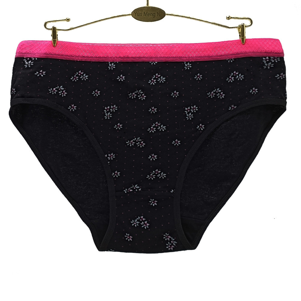Women's Panties 4pcs/lot Big Yards 2XL/3XL/4XL Print Flower Lady Cotton Large Briefs Women's Underwear Plus Size Mommy Pants 89556 230414