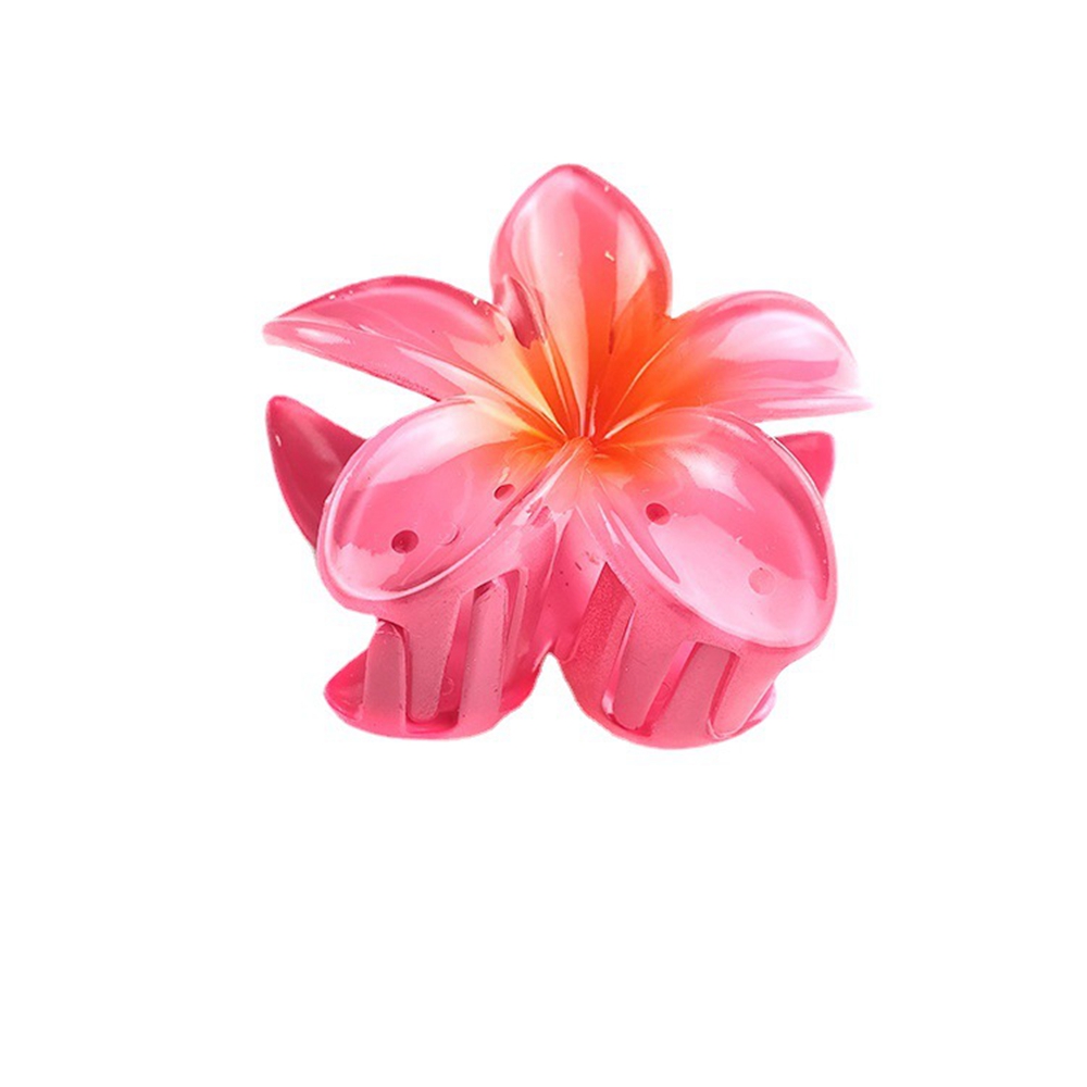 New Candy Gradient Color Flower Hair Clips Ribbon Girls Colorful Elegant Flower Shape Hair Claws Plastic Clip Hair Accessories S2028