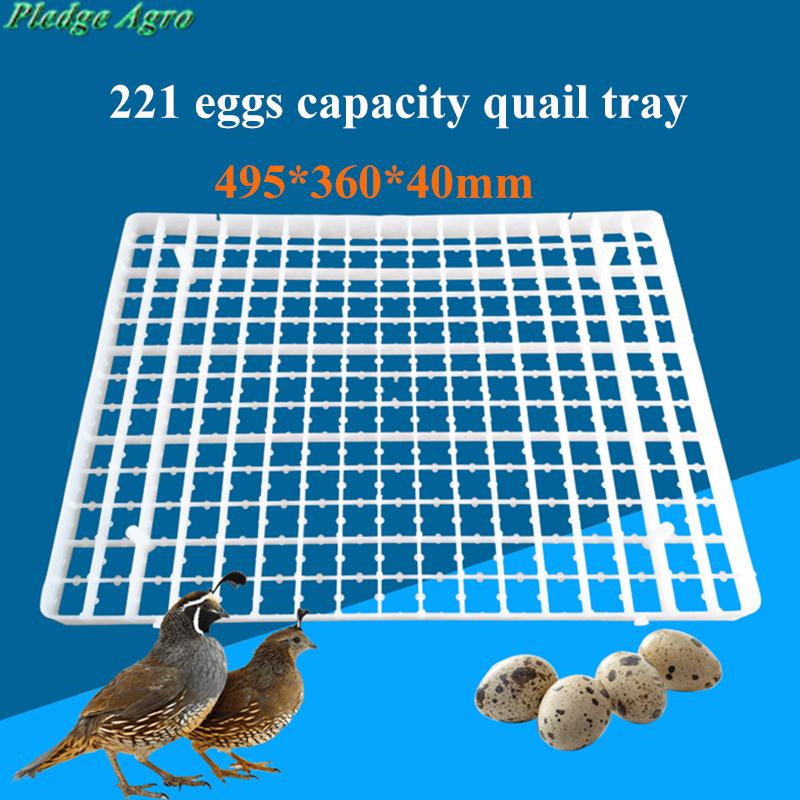 

Supplies 1PCS EGG TRAY FOR INCUBATOR AUTOMATIC GOOSE PIGEONS DUCK QUAIL EGG CHINA INCUBADORA PARTS POULTRY FARMING ACCESSORIES SUPPLIES