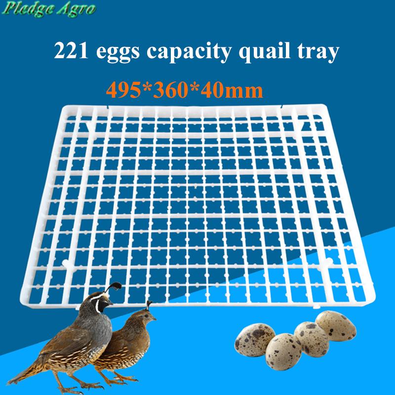 Supplies 1PCS EGG TRAY FOR INCUBATOR AUTOMATIC GOOSE PIGEONS DUCK QUAIL EGG CHINA INCUBADORA PARTS POULTRY FARMING ACCESSORIES SUPPLIES
Supplies 1PCS EGG TRAY FOR INCUBATOR AUTOMATIC GOOSE PIGEONS DUCK QUAIL EGG CHINA INCUBADORA PARTS POULTRY FARMING ACCESSORIES SUPPLIES