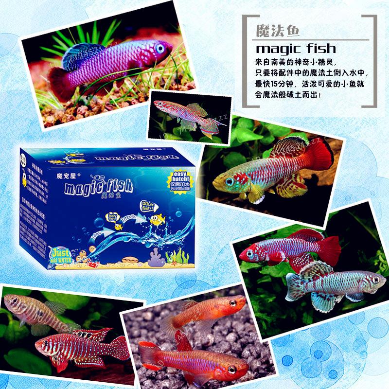 Aquariums Magic Fish Kit Killifish Eggs soil Hatching Earth Pet Education Toys Magic Soil + Water = Fishes Aquarium Pets Children Toys
Aquariums Magic Fish Kit Killifish Eggs soil Hatching Earth Pet Education Toys Magic Soil + Water = Fishes Aquarium Pets Children Toys