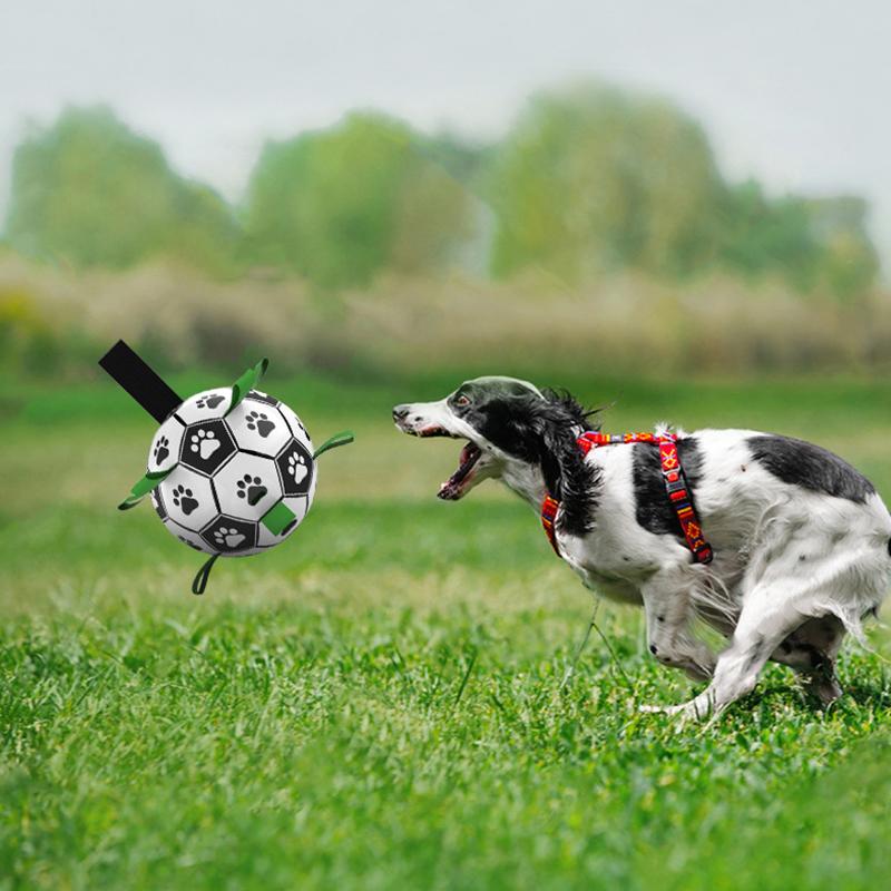 Chews Pet Dog Water Ball Toy Interactive Football With Grab Tabs Dog Outdoor Training Soccer Pet Bite Chew Balls for Dog Accessories
Chews Pet Dog Water Ball Toy Interactive Football With Grab Tabs Dog Outdoor Training Soccer Pet Bite Chew Balls for Dog Accessories