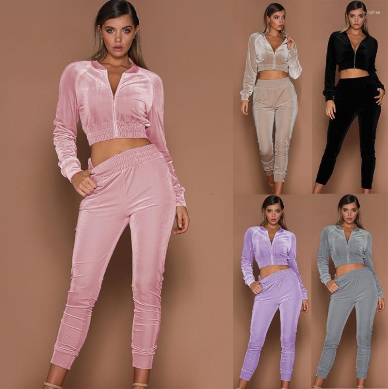 Women' Two Piece Pants Women' Tracksuit 2 Pieces Set Velvet Sweatshirt Solid Casual Suits Long Sleeve Slim Cropped Zipper Coat, Purple
Women' Two Piece Pants Women' Tracksuit 2 Pieces Set Velvet Sweatshirt Solid Casual Suits Long Sleeve Slim Cropped Zipper Coat, Purple