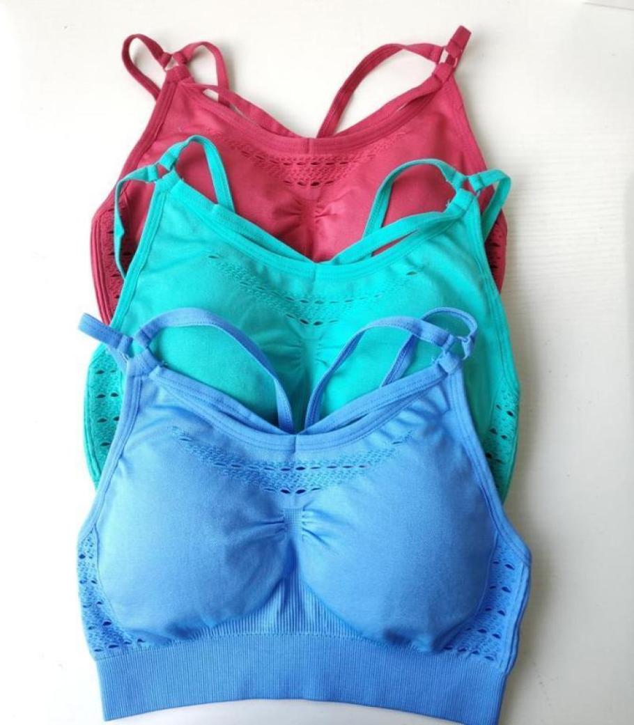 Gym Clothing Women Colors Energy Seamless Sport Bra Padded Sports Push Up Yoga High Impact Sports14289233, Blue
Gym Clothing Women Colors Energy Seamless Sport Bra Padded Sports Push Up Yoga High Impact Sports14289233, Blue