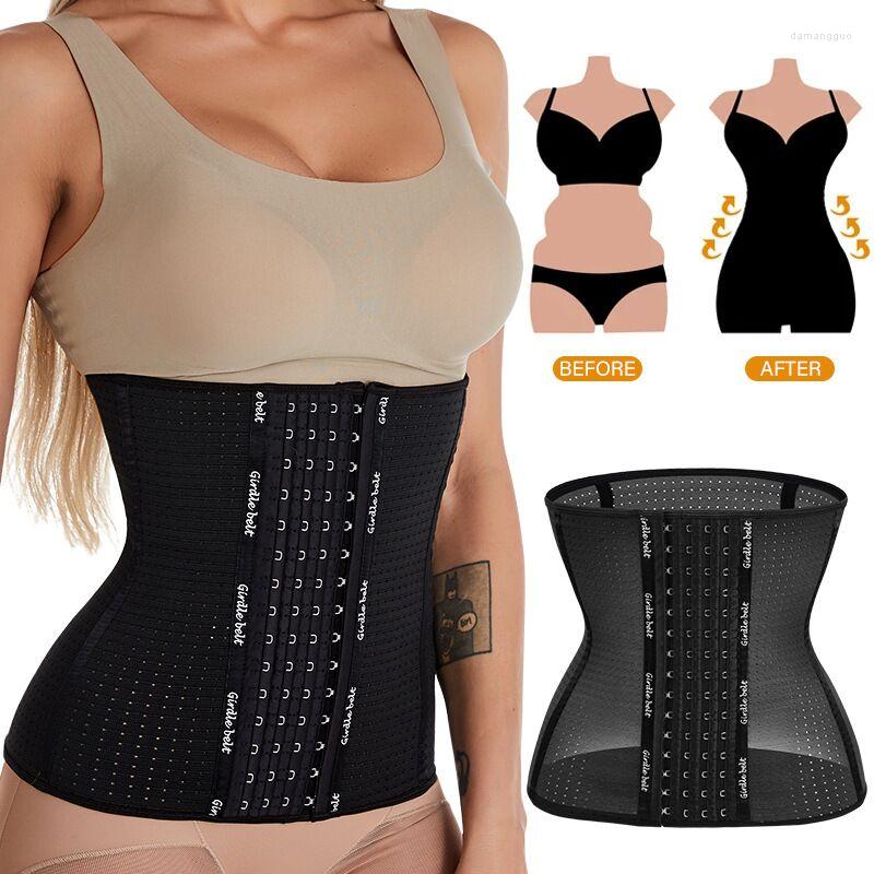 Women' Shapers Corset Body Shaper Waist Trainer Shaperwear Corsets Sexy Bustiers Slimming Belt Underbust, Beige
Women' Shapers Corset Body Shaper Waist Trainer Shaperwear Corsets Sexy Bustiers Slimming Belt Underbust, Beige