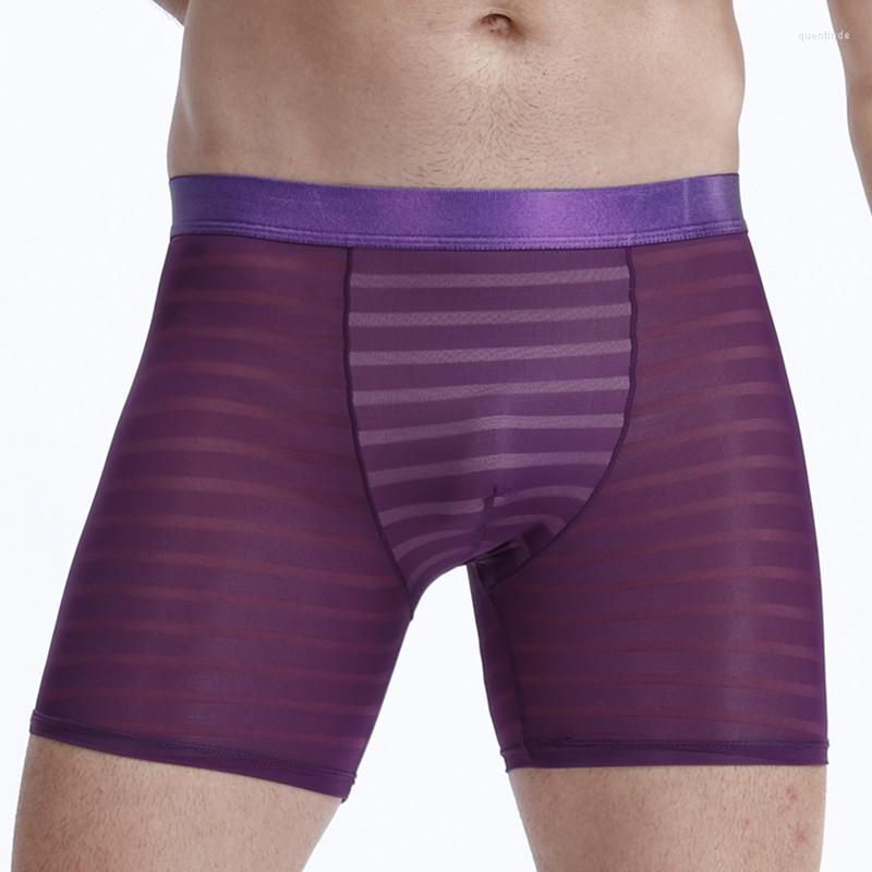 Underpants Male Panties Long Sports Men Underwear Ice Silk Men's Boxers Breathable Sexy Man Boxer Solid Shorts
Underpants Male Panties Long Sports Men Underwear Ice Silk Men's Boxers Breathable Sexy Man Boxer Solid Shorts