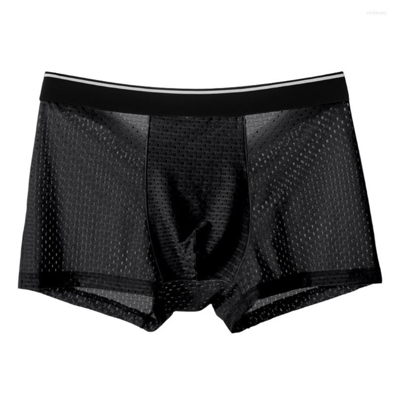 Underpants Underwear Mesh Sexy Breathable Boxer Shorts Transparent Briefs Panties Male See Through Trunk Pant, C233-2
Underpants Underwear Mesh Sexy Breathable Boxer Shorts Transparent Briefs Panties Male See Through Trunk Pant, C233-2