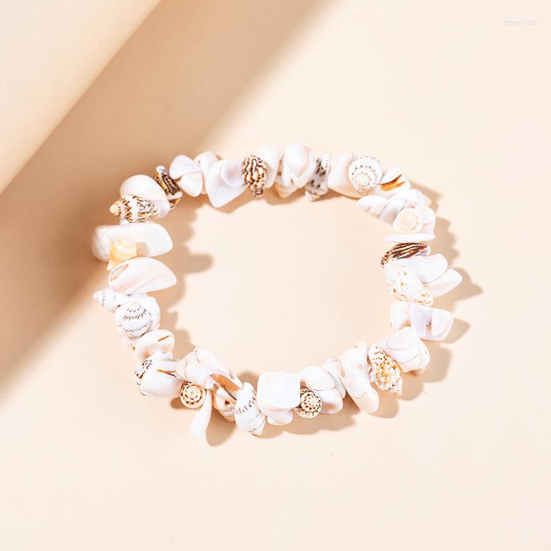 Strand 2023 Bohemian Seaside Resort Style Shell Conch Bracelet Unisex Couple Jewelry Valentine's Day Gift
Strand 2023 Bohemian Seaside Resort Style Shell Conch Bracelet Unisex Couple Jewelry Valentine's Day Gift