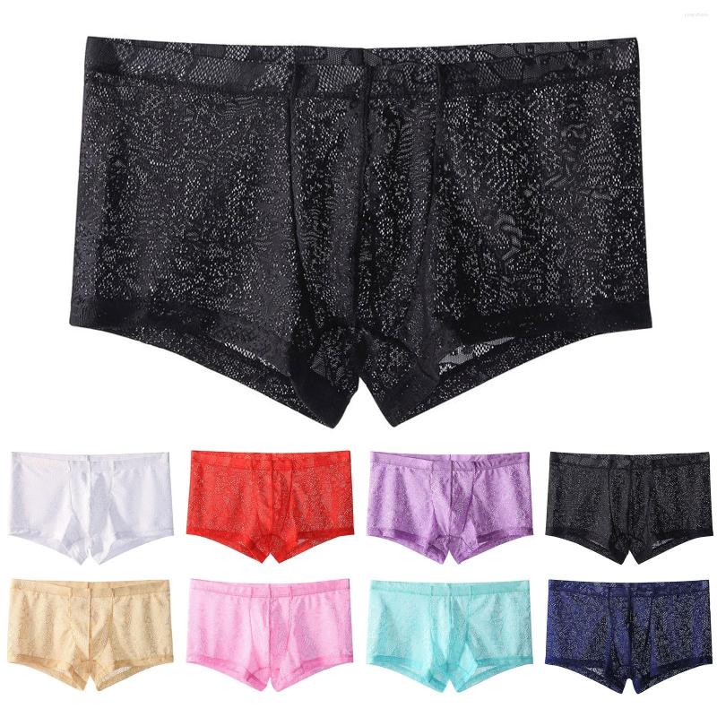 Underpants Mens Lace Transparent Boxer Shorts With Low Waist Breathable Underwear Rendy Youth Pants Outfit, Black
Underpants Mens Lace Transparent Boxer Shorts With Low Waist Breathable Underwear Rendy Youth Pants Outfit, Black