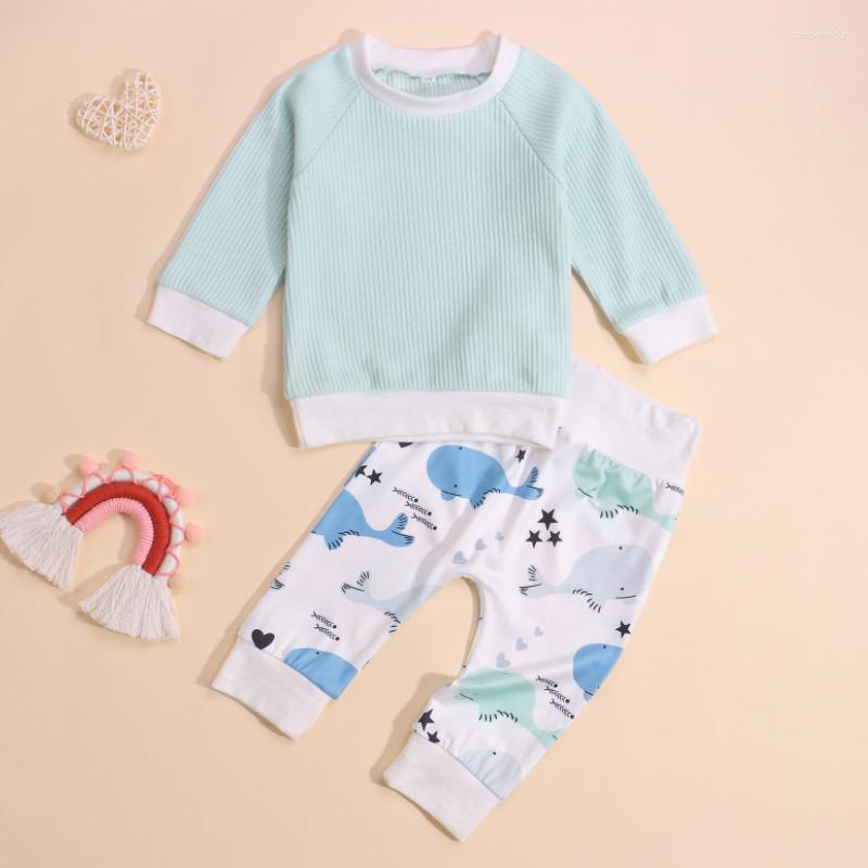 Clothing Sets 2Pcs Kids Spring Tracksuit Splicing Color Long Sleeves Pullover Floral/Whale Casual Pants For Little Boys Girls Autumn
Clothing Sets 2Pcs Kids Spring Tracksuit Splicing Color Long Sleeves Pullover Floral/Whale Casual Pants For Little Boys Girls Autumn