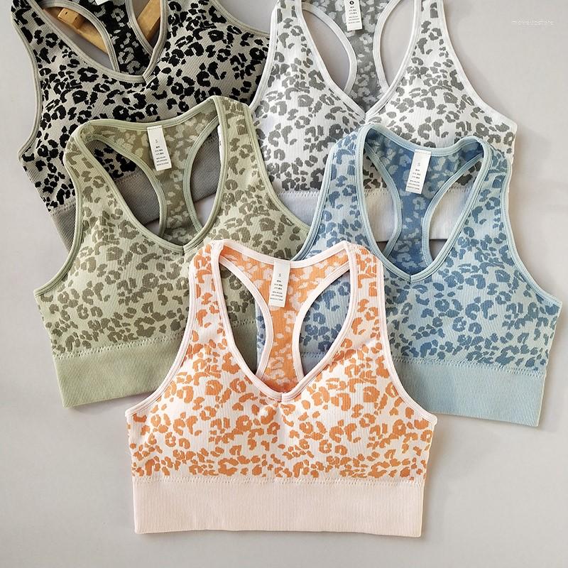 Yoga Outfit Leopard Print Small V-neck Gathered Professional Sports Bra Women' High-intensity Quick-drying Large-size Running Fitness, Black
Yoga Outfit Leopard Print Small V-neck Gathered Professional Sports Bra Women' High-intensity Quick-drying Large-size Running Fitness, Black