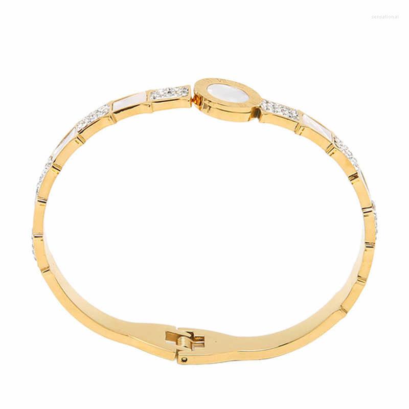 Dangle Earrings Titanium Steel Bracelet Elegant Rhinestones For Daily Life Work Women Girls
Dangle Earrings Titanium Steel Bracelet Elegant Rhinestones For Daily Life Work Women Girls