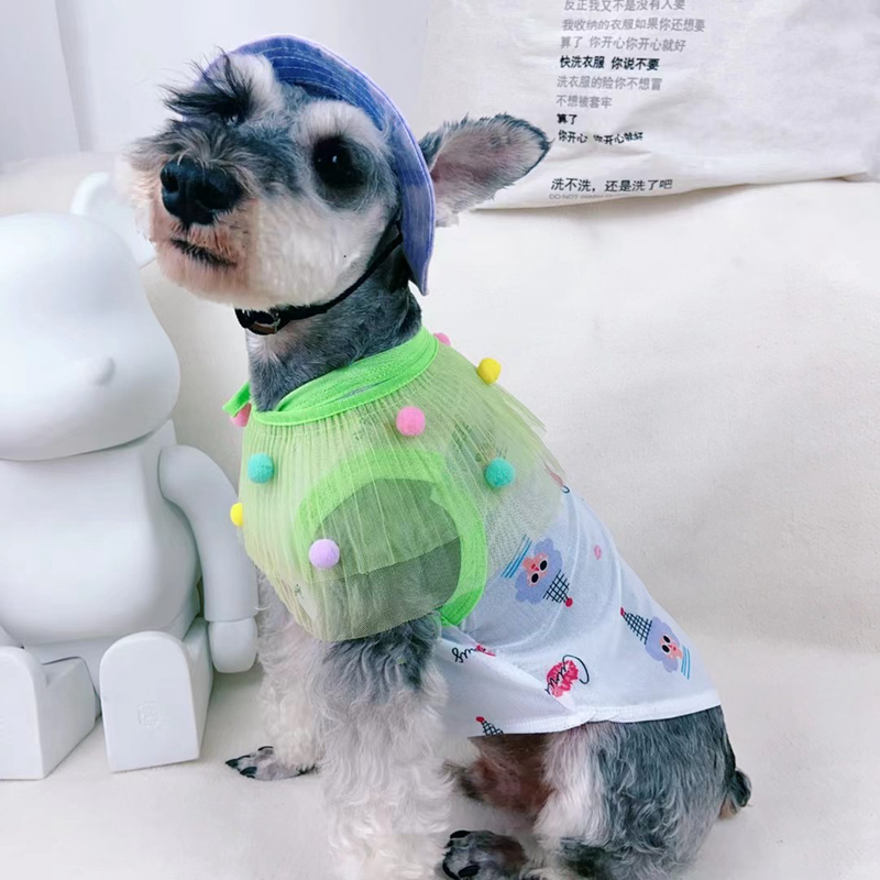 free shipping Pet Cap Metal Inverted Triangle Iron Plate Round Fashion Canvas Princess Hat Baseball Adjustable Chin Strap Sun Protection Visor for Sma