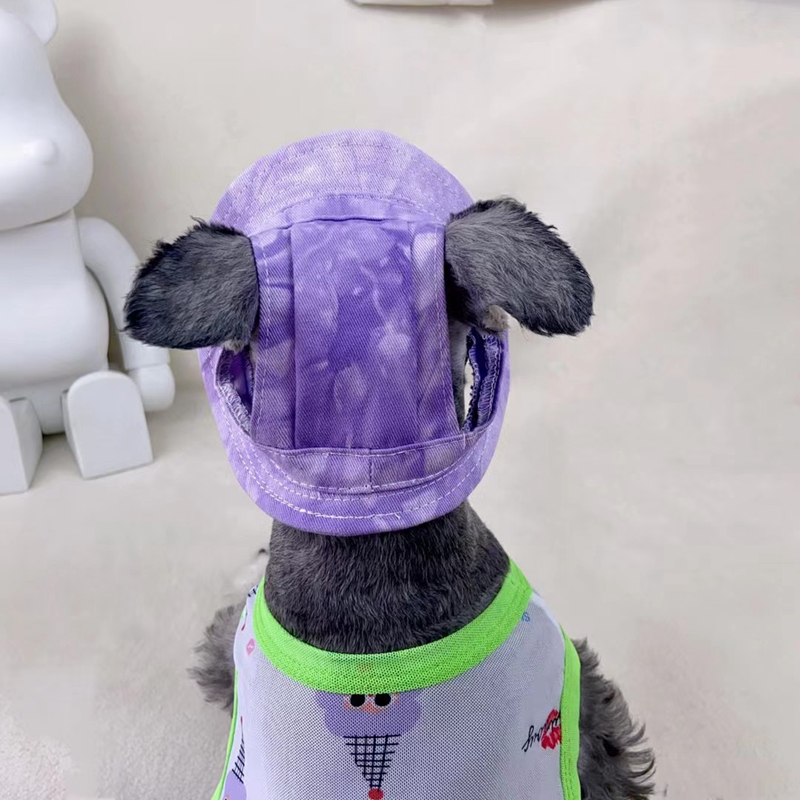 free shipping Pet Cap Metal Inverted Triangle Iron Plate Round Fashion Canvas Princess Hat Baseball Adjustable Chin Strap Sun Protection Visor for Sma