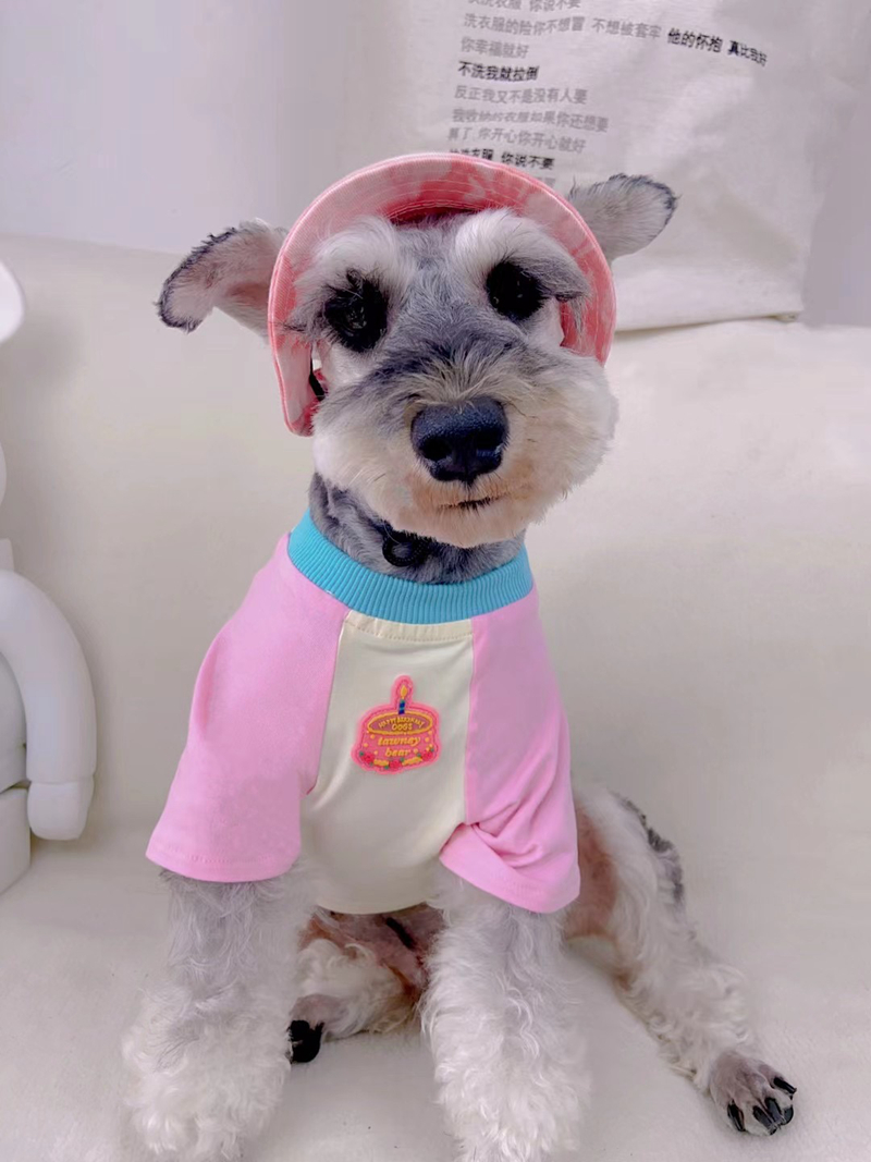 free shipping Pet Cap Metal Inverted Triangle Iron Plate Round Fashion Canvas Princess Hat Baseball Adjustable Chin Strap Sun Protection Visor for Sma