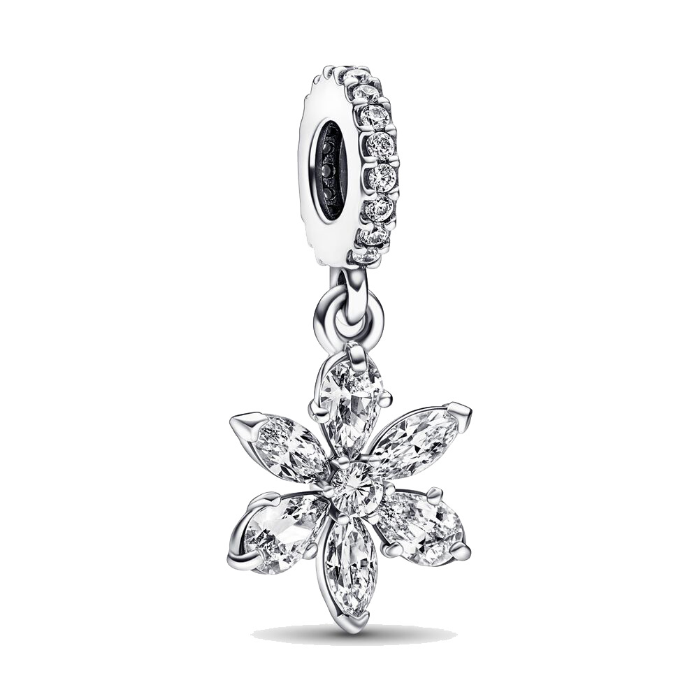 925 Sterling Silver Dangle Charm Fashion DIY Jewelry Accessories Beaded Pendant Girl Popular Wild Jewelry Free Delivery