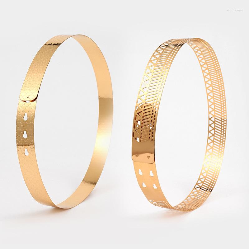 Belts Simple Golden Thin Iron Sheet Elastic Ladies Waist Seal Gold Glitter Accessories Belt With Coat Dress Women Waistband, Black
Belts Simple Golden Thin Iron Sheet Elastic Ladies Waist Seal Gold Glitter Accessories Belt With Coat Dress Women Waistband, Black